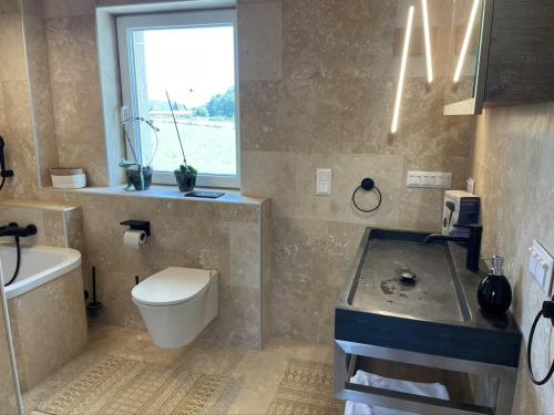 a bathroom with a toilet and a sink and a window at Casa Tapeo in Schiefling am See
