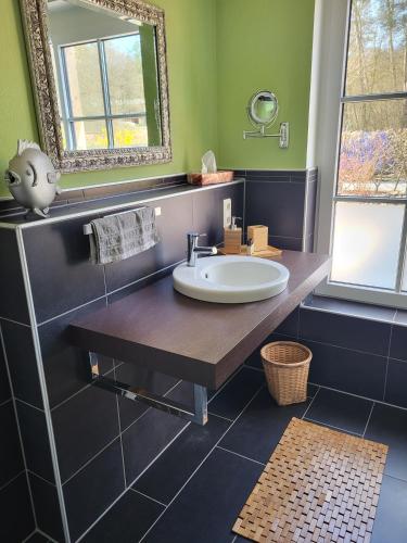 a bathroom with a sink and a mirror at Hainberg-Loft mit Gartensauna in Mellrichstadt