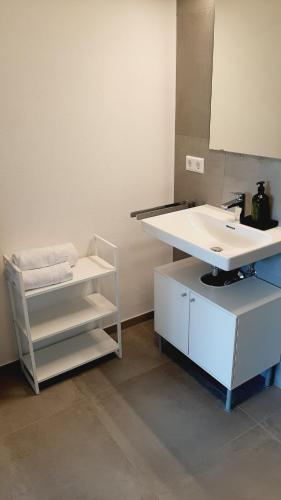 a bathroom with a sink and a mirror at Bude 23 - Ferienwohnung Aalen in Aalen