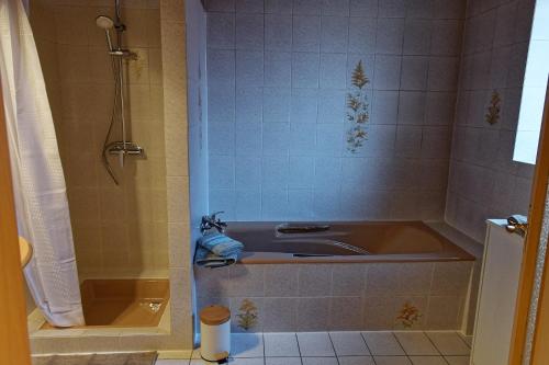 a bathroom with a tub and a shower at Chez Jeanne, charmante maison in Dossenheim-sur-Zinsel