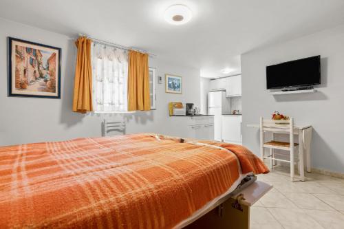 Studio - L'Esterel