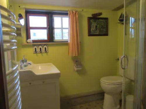 a bathroom with a sink and a toilet and a window at Charlottes Landlust in Ribnitz-Damgarten