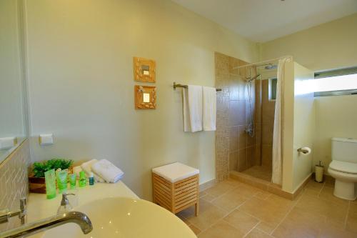a bathroom with a shower and a sink and a toilet at Villa Nautilos Ideales Resort in Kefallonia