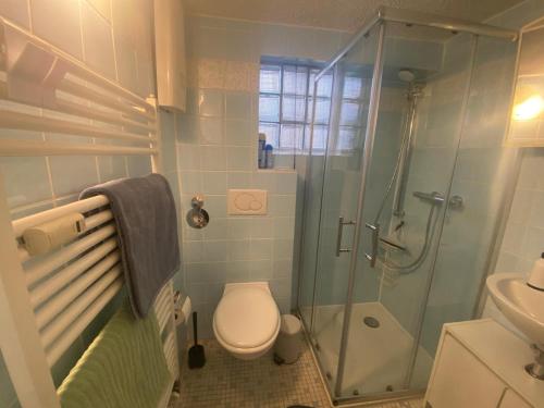 a bathroom with a toilet and a glass shower at Fewo1 Am Edersee in Edertal