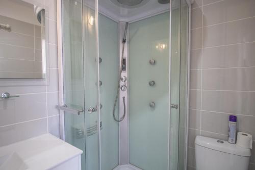 a bathroom with a shower and a toilet at Splendide Grand Appart Neuf in Albitreccia