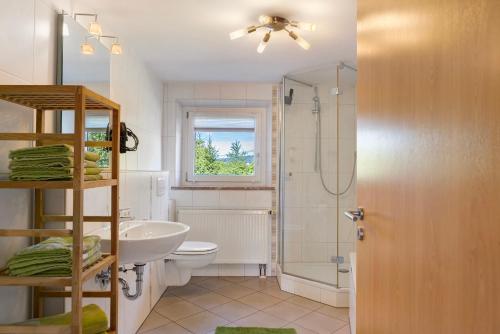 a bathroom with a sink and a toilet and a shower at Kreuzbergblick Bayerischer Wald in Hohenau