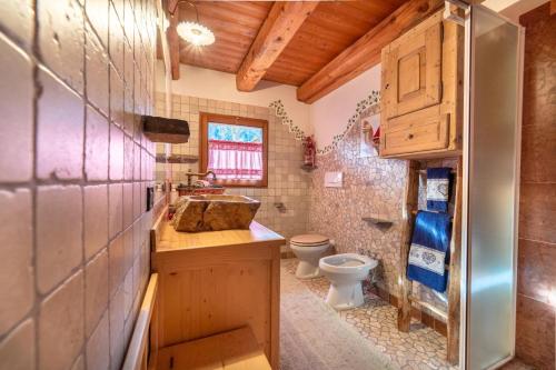 a bathroom with a sink and a toilet at Baita Mas Sternai Nel Parco in Bagni di Rabbi