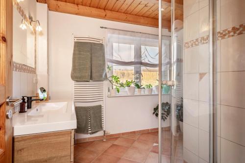 a bathroom with a sink and a shower at Ferienwohnung Meckenbeuren in Meckenbeuren