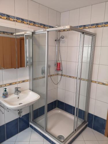 a bathroom with a shower and a sink at Ferienwohnung Mössingen in Mössingen