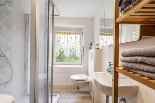 a bathroom with a sink and a toilet and a window at Familie Heiko Schroth in Neußen