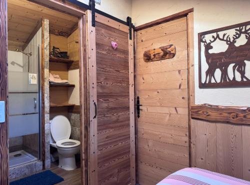 a bathroom with a toilet and a wooden door at Le Mont De La Source in Lafarre
