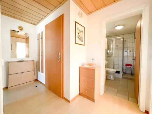 a bathroom with a toilet and a sink at Haus Rosenfelder Fewo Abendsonne in Bernau im Schwarzwald