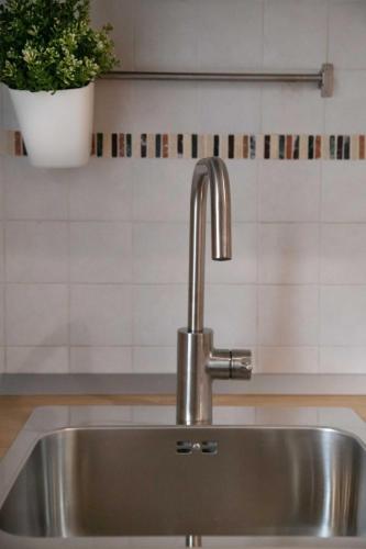 a stainless steel sink in a kitchen with a potted plant at Piave House - Pisa in Pisa