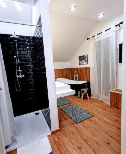 a bathroom with a shower and a sink at Ludwig der xvi in Schwandorf in Bayern