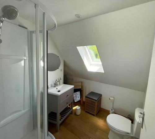 a bathroom with a toilet and a sink and a skylight at Le Chant du Grillon in Le Nayrac