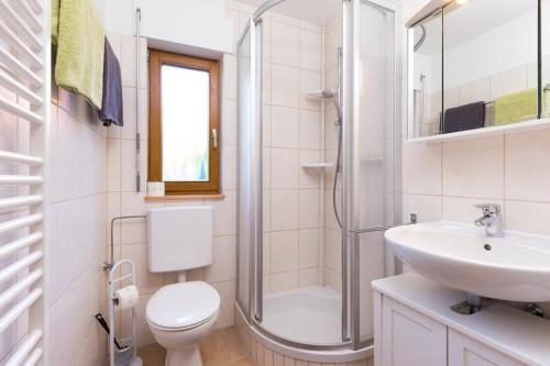 a bathroom with a shower and a toilet and a sink at Ferienwohnung Lauser Ug in Herdwangen-Schönach