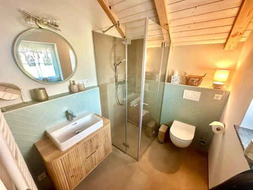 a bathroom with a shower and a sink and a toilet at Aubrac-Biohof Königshainer Berge in Königshain