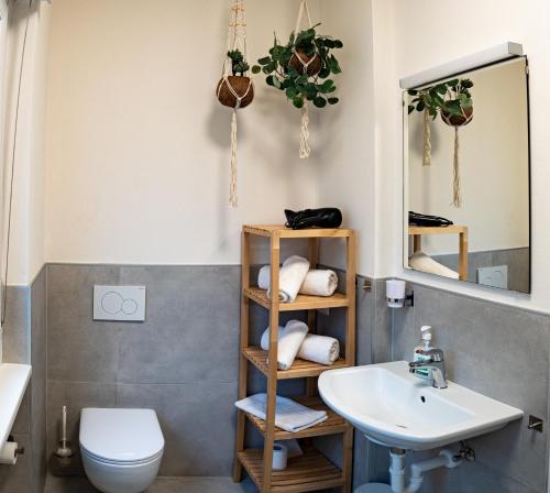 a bathroom with a sink and a toilet and a mirror at Apartment Manuela in Merano