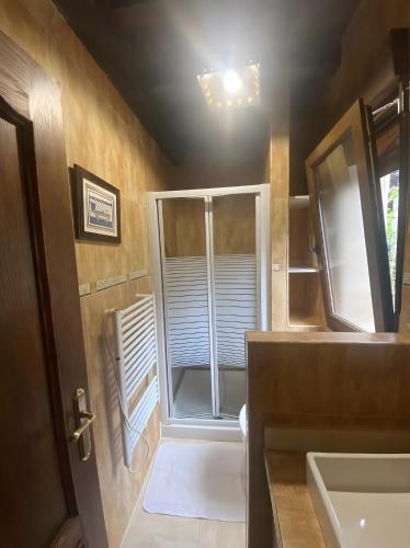 a bathroom with a shower and a sink and a mirror at Los Avellanos Casa 3 in Celis