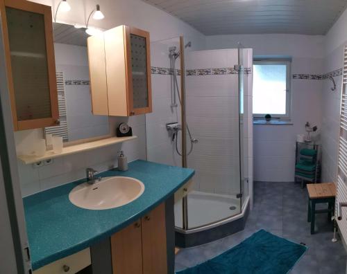 a bathroom with a sink and a shower at Ferienhof Hanssler in Wilhelmsdorf