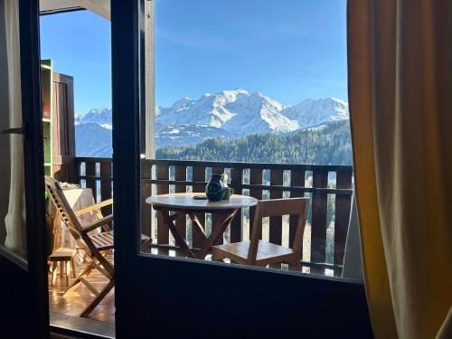Face au Mont Blanc, plein sud
