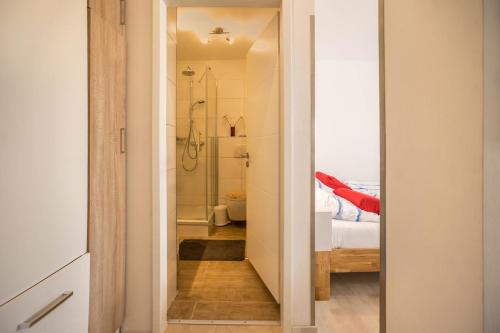 a door leading to a bathroom with a shower at Ferienwohnung Seestern in Norderney