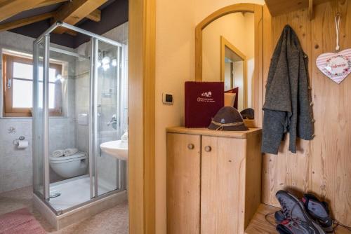 a bathroom with a shower and a toilet and a sink at Oberplunerhof - Fewo Gitschberg in Chienes