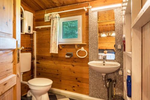 a bathroom with a toilet and a sink at Kleines Gästehaus in Sudwalde