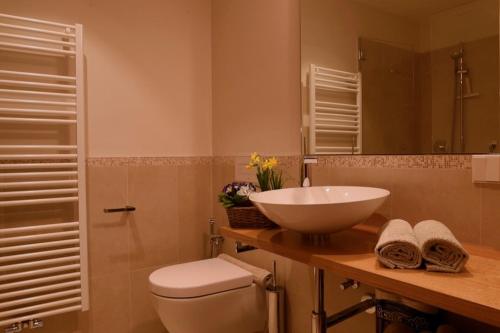 a bathroom with a sink and a toilet and a mirror at Rosengartnerhof Apt Gantkofel in Terlano