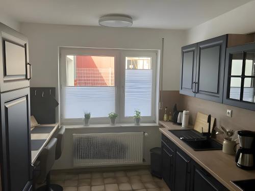 a kitchen with a sink and two windows with plants at Ferienwohnung Wartehof in Bad Emstal