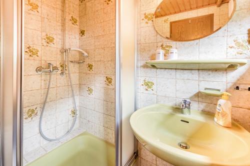 a bathroom with a sink and a shower at Am Wehrastrand App 4 in Todtmoos