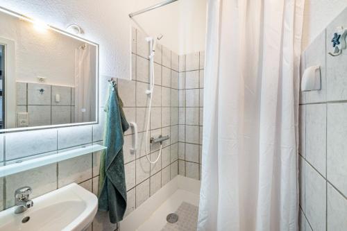a bathroom with a shower and a sink at Studio zur »Alten Schmiede« in Laage