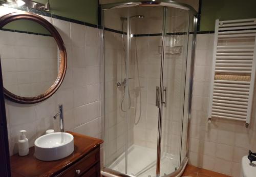 a bathroom with a shower with a sink and a mirror at Lokate 2 Habitaciones in Aia