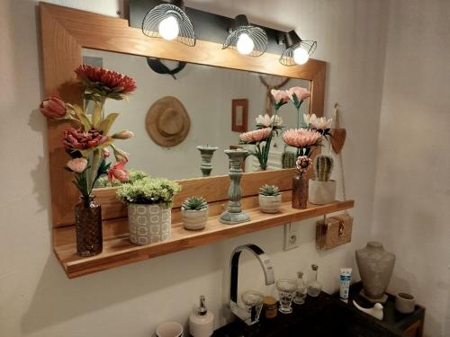 a bathroom sink with vases of flowers on a mirror at Chambres D'hôtes La Buissonnière in Théziers