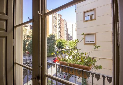 Picasso Flat
