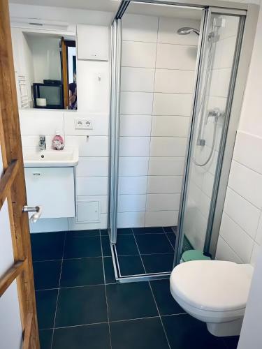 a bathroom with a shower and a toilet at Seeliebe-Reichenau in Reichenau
