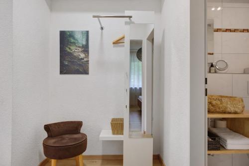 a room with a chair and a mirror at Schwarzwald-Kitz mit Pool und Sauna in Lenzkirch