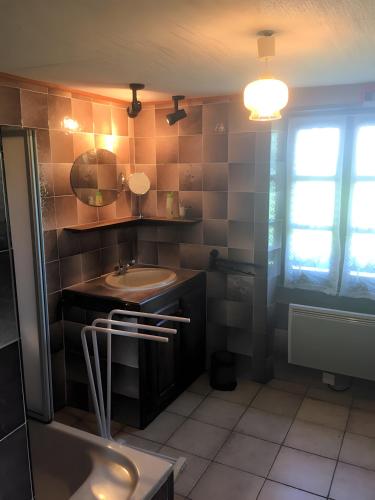 a bathroom with a sink and a mirror at Gîte Du Cayrou in Bournazel