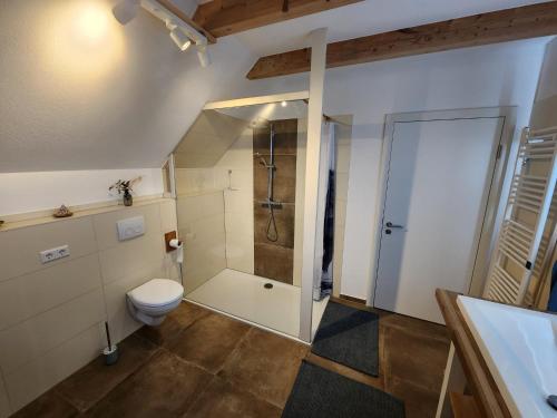 a bathroom with a shower and a toilet at Öko Wohnung Garten und Pool in Lindau-Bodolz