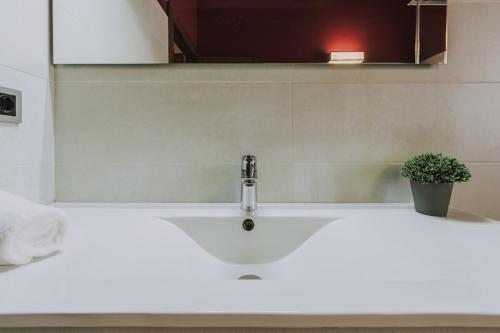 a bathroom sink with a faucet and a potted plant at Fidalsa Rest Station in Burgos