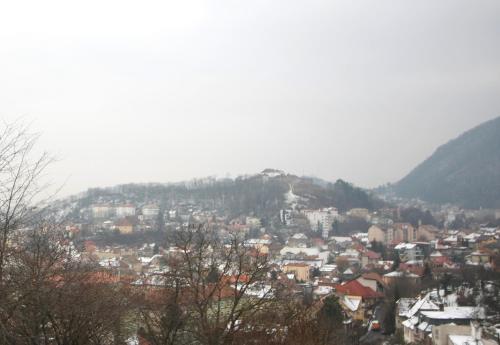 a view of a city with mountains in the background at The Pines Boutique Villa in Braşov
