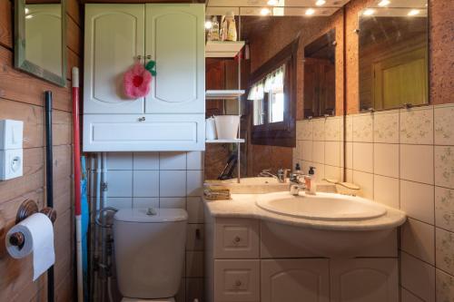 a bathroom with a sink and a toilet and a mirror at Chalet de Monique in Le Val-dʼAjol
