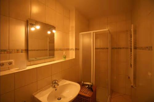 a bathroom with a sink and a shower at Ferienwohnung Melosine in Koserow