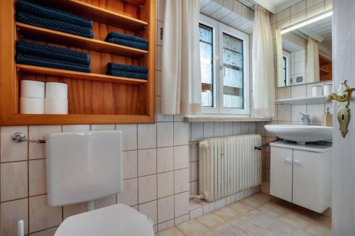a bathroom with a toilet and a sink at Ferienwohnung Carlina in Pfronten