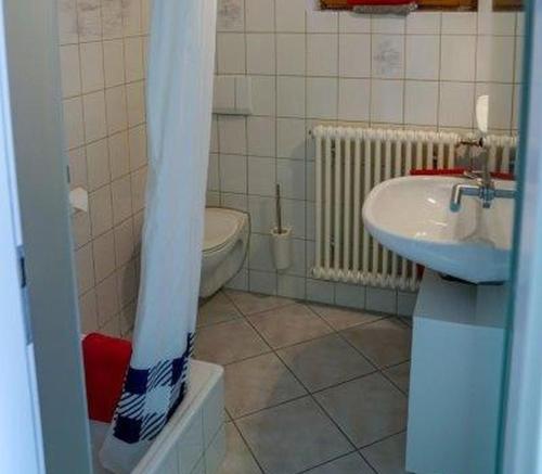 a bathroom with a sink and a toilet at Ferienwohnung Roth in Frickingen
