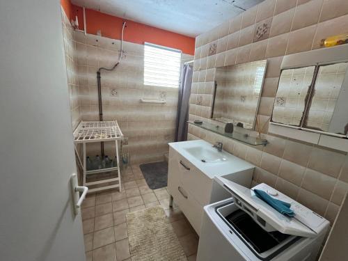 a bathroom with a sink and a mirror at Chez sidoine Meublé 1 chambre in Le Moule