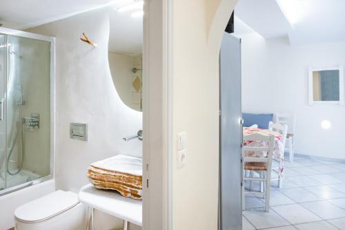 a bathroom with a toilet and a shower at Elysium in Glinádhon