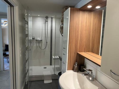 a bathroom with a sink and a shower at Seerhaus in Mosern