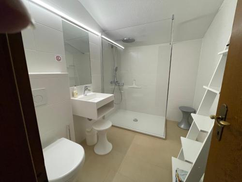 a bathroom with a toilet and a sink and a shower at Fewo 2 am Auweg in Hirschegg
