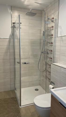 a bathroom with a shower with a toilet and a sink at Ferienwohnung Am Wall in Radeberg